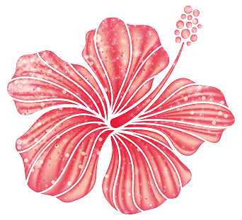Imagen de una flor